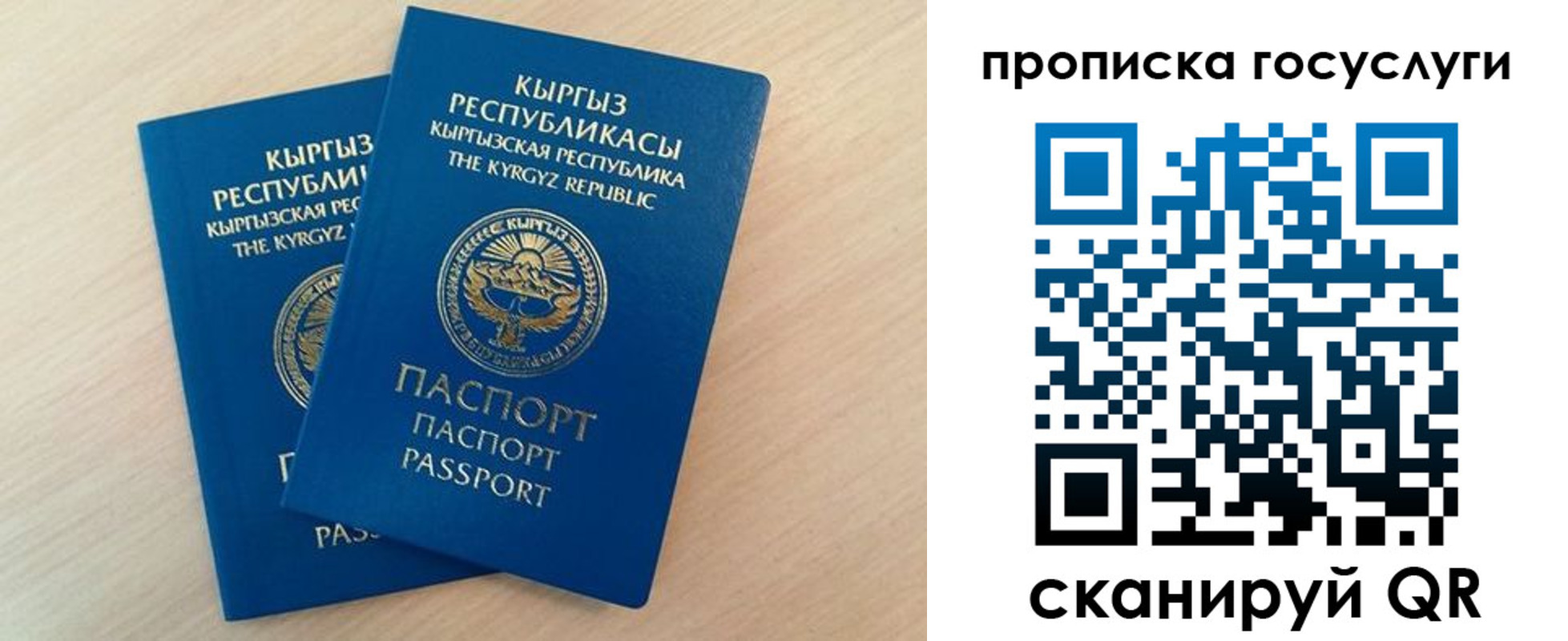прописка гарантия в Краснодаре